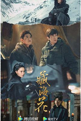 青青手机视频在线观看免费 - 爽剧场海报
