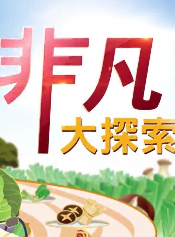 【精品 泄密 】杭州甜美女孩与男友 自拍 流出 - 爽剧场海报